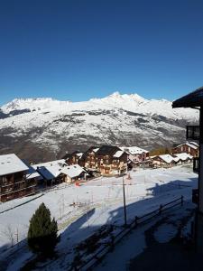 Paradiski ski au pied vallandry