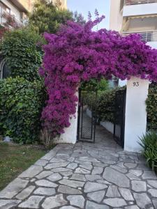 Seaview Moments Aretsou