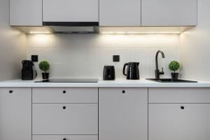 Blue and White Apartment in Łódź with Furnished Balcony by Noclegi Renters