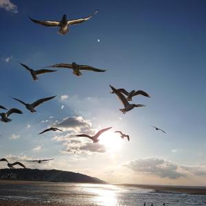 Les Pieds dans le sable, 4 pers- wifi & parking