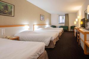 Hotels Hotel Paradis : photos des chambres