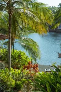 Pont Bleu Suites Riverside & Pool