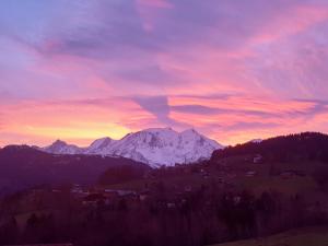 Villas Chalet Double M I Le Chalet Club : photos des chambres