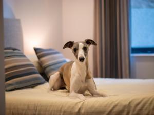 Harbour Stays - The Marine Centre, Saundersfoot Harbour, SA69 9HE