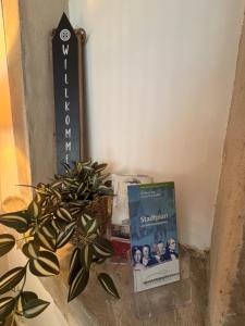 Zentrales Wohlfühlapartment nahe dem Hofgarten