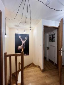 Appartements Sejour SPA inclus au centre de St Lary : photos des chambres