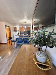 Appartements Sejour SPA inclus au centre de St Lary : photos des chambres