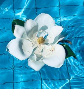 Il Rifugio di Anna Maria