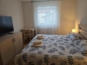 Razor Vista Apartment