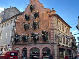Appartements Le Balcon fleuri centre Robertsau tram Jardiniers : photos des chambres