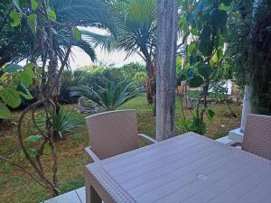 Green Village studio