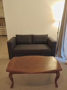 Green Village studio