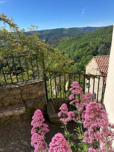 Maisons de vacances Maison de la Mure, Haut-Languedoc Park : photos des chambres