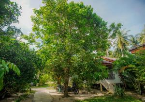 Casa Palma - Peaceful Retreat - 2mn ZenBeach - Srithanu Center - Double King Bed