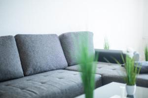 Wohnung Smart-TV, Küche, Balkon