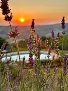 Refugium VERITAS - entire Villa with Pool