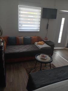 Domaćinstvo Pocikini Zasavica