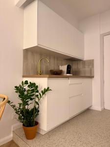 Appartements Appartement Ajaccio Casa Dea : photos des chambres