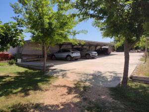 Holiday apartment in Privlaka with sea view, balcony, air conditioning, WiFi 3598-4