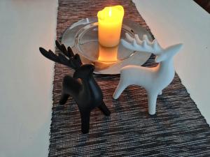 Syötteen Helmi - loistosijainti!