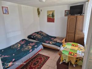 Dom Bursztynek - domek murowany