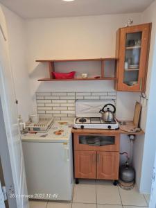 Dom Bursztynek - domek (sad)