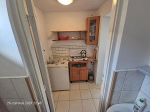 Dom Bursztynek - domek (sad)