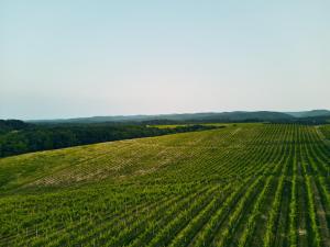 Heritage Hotel Kurija Mihalović