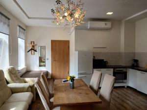 Big apartment in city center