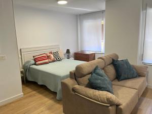 Loft Caleros La ranita Salmantina