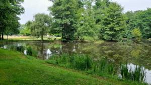 Campings Camping 3 etoiles - Piscine - ccbbgcb : photos des chambres