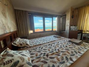 Стая за гости - 1