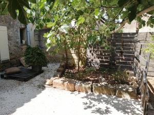 Maisons de vacances studio au sein d-un mas en Camargue : photos des chambres