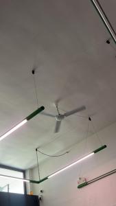 Caibo N - Baia Verde