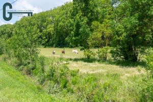 Séjour détente avec spa, piscine et sauna