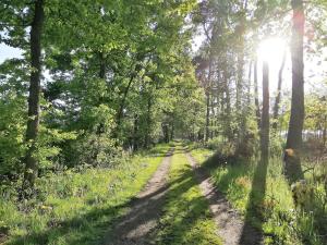 Vakantiewoning in t groen-Lille