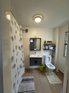 Nyayo Estate Embakasi near Airport and Sgr