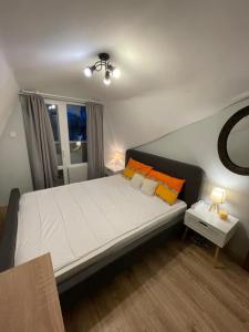 Apartment Medical Iniversity