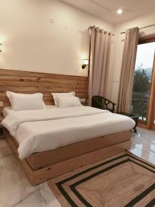 Shepherds Of Dharamshala