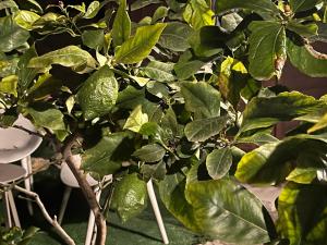 Appartement Eze Village proche Monaco fabuleuse vue mer et vieux village