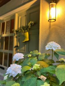 Caragh Lake House - Lakeside Escape and Sauna