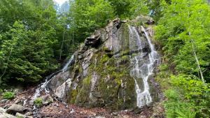 Ferienwohnung Penthouse Bummelallee