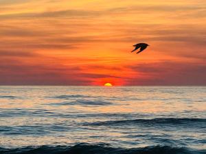 Max Relax Palanga, 2