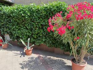 Kertész Vendégház