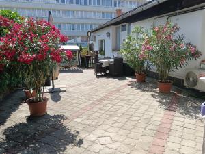 Kertész Vendégház