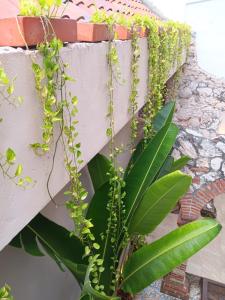 Habitación privada en Getsemaní