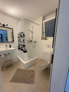 Aareblick 68 Charming studio with river view