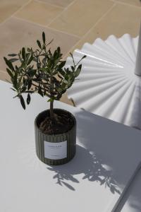 Appart'hotels Residence Omigna : photos des chambres