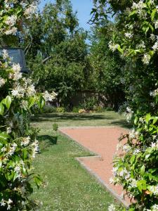 Maisons de vacances La Cidraisy : photos des chambres