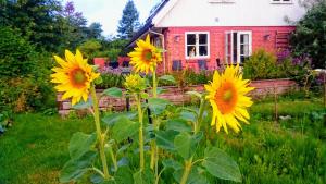 Velkommen til Søhøjlandet!